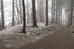 Bergklub: Felsenegg (789 m.ü.M.)