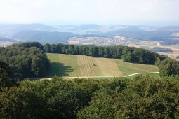 Bergklub: Wisenberg (1001 m.ü.M.)