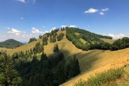 Bergklub: Schnebelhorn (1291 m.ü.M.)