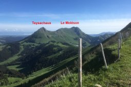 Bergklub: Col de Lyss (1783 m.ü.M.)