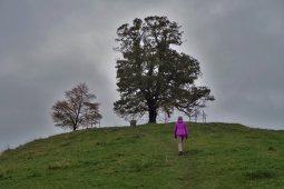 Bergklub: Hochwacht Zugerberg (988 m.ü.M.)